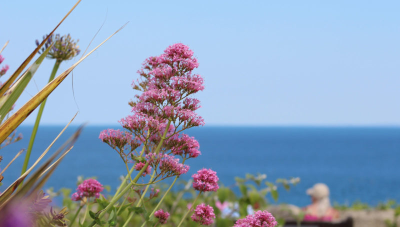 Autumn Luxury Accommodation in St Ives