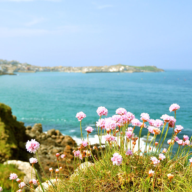 Luxury Holiday Cottages And Apartments In St Ives Cornwall